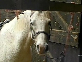 Kirli ýabany ulylar uçin movie in a barn for küntije ferma girls