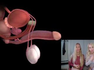 Mann orgasme anatomy explained educational joi: gratis xxx klipp 85