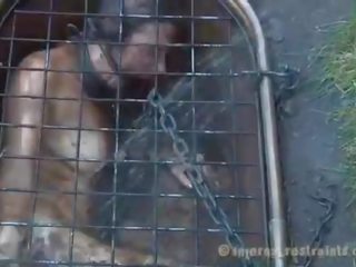 Caged pupa forzato a dare pompino