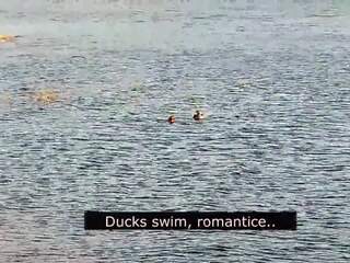 רוֹמַנטִי מציצות ב ה חוף של אהבה עם ducks: מלוכלך וידאו 01 | xhamster